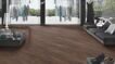 Ламинат Kronospan Floordreams Vario Дуб Шейр